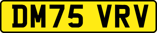 DM75VRV