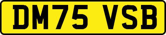 DM75VSB
