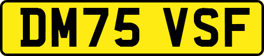 DM75VSF