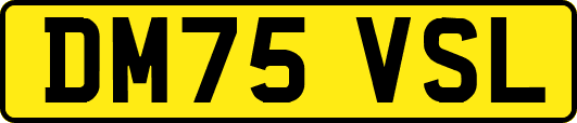 DM75VSL