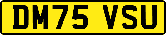 DM75VSU