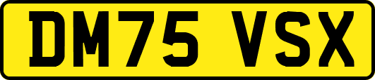 DM75VSX