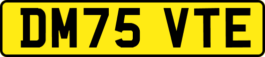 DM75VTE