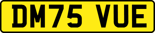 DM75VUE