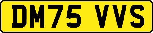 DM75VVS