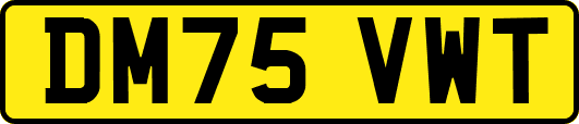 DM75VWT