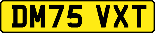 DM75VXT