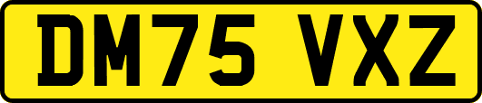 DM75VXZ