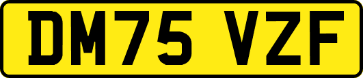 DM75VZF