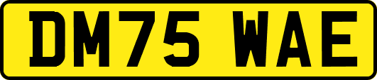 DM75WAE