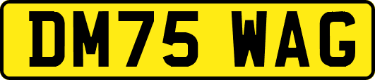 DM75WAG