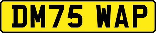 DM75WAP