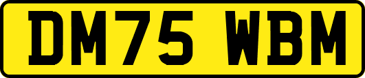 DM75WBM