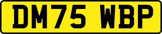DM75WBP