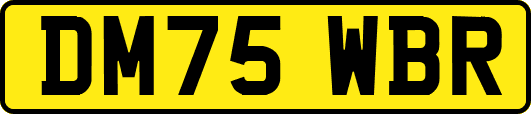 DM75WBR
