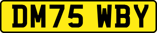 DM75WBY