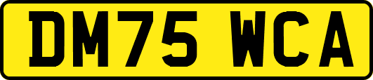 DM75WCA