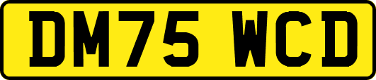 DM75WCD