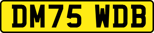 DM75WDB
