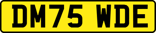 DM75WDE