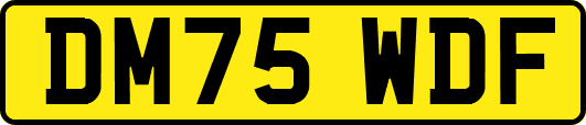 DM75WDF
