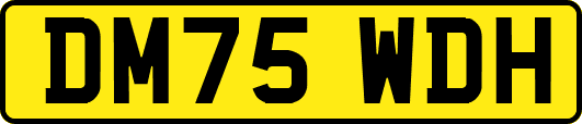 DM75WDH