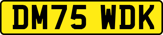 DM75WDK
