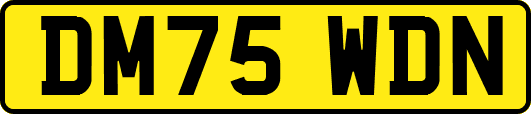 DM75WDN
