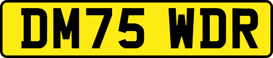 DM75WDR