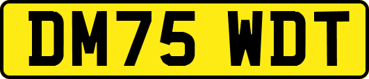 DM75WDT