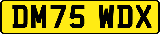 DM75WDX