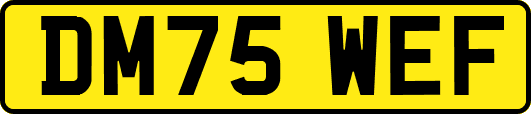 DM75WEF