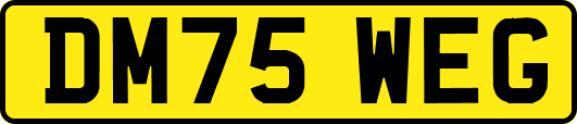 DM75WEG
