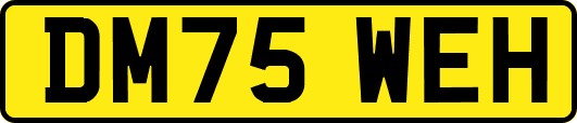 DM75WEH