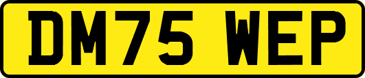 DM75WEP