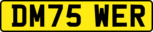 DM75WER