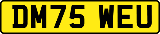 DM75WEU