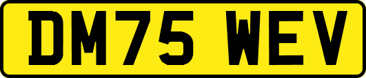 DM75WEV