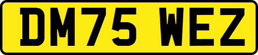 DM75WEZ
