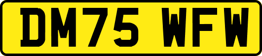 DM75WFW