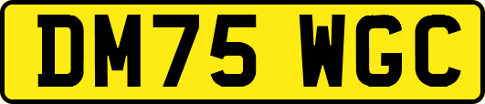 DM75WGC