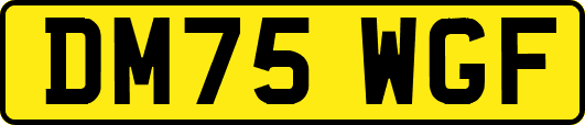 DM75WGF
