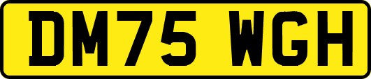 DM75WGH