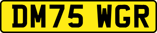 DM75WGR