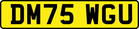 DM75WGU