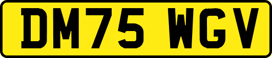 DM75WGV