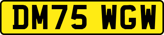DM75WGW