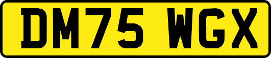 DM75WGX
