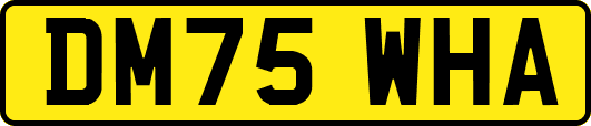 DM75WHA