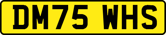 DM75WHS